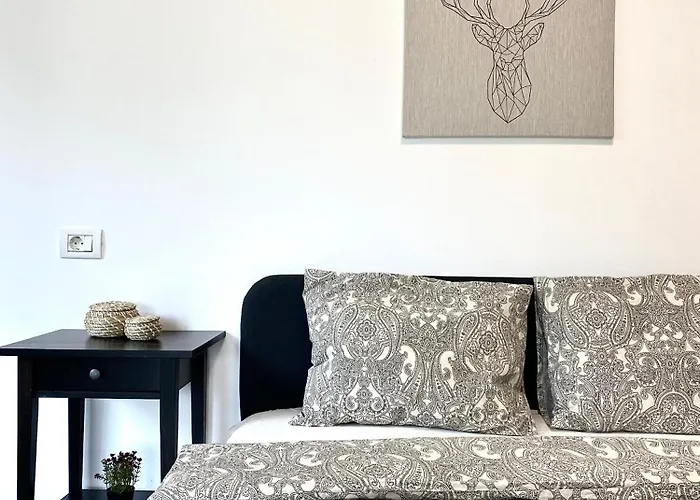 Apartment Platinum Family Brasov